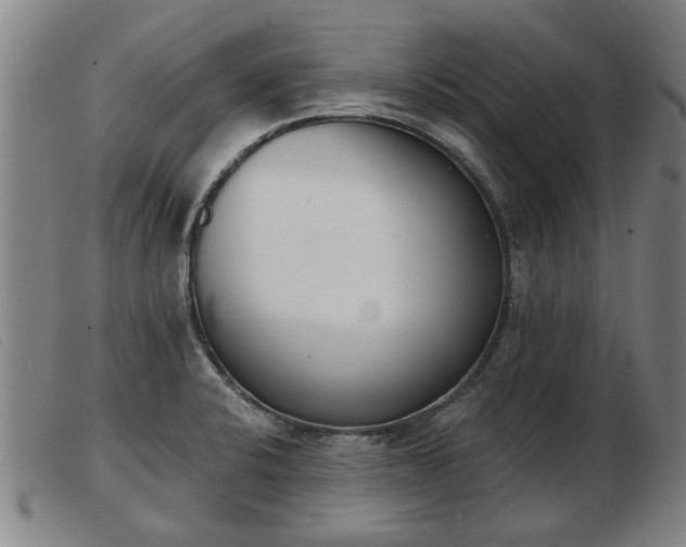 X0000103401424200809191510