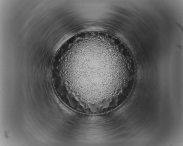 X0000103401425200809191510