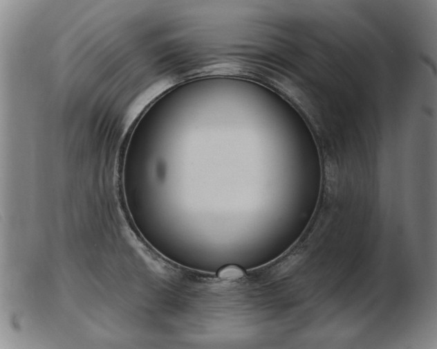 X0000103401426200809191510