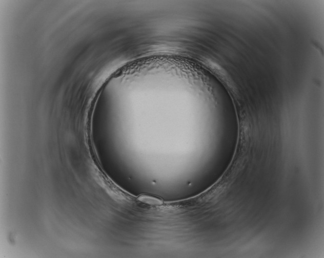 X0000103401427200809191510