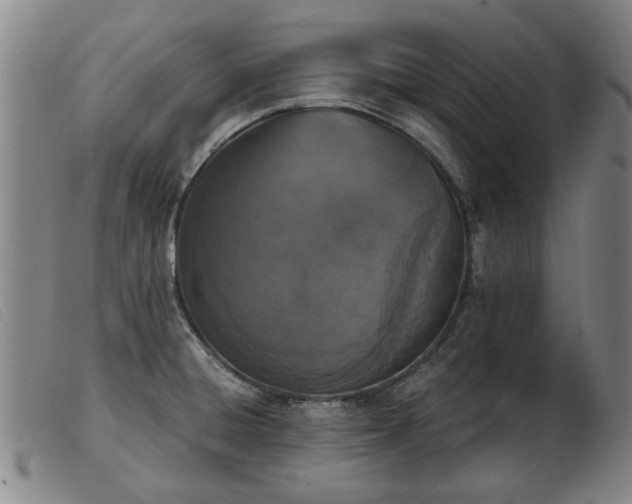 X0000103401428200809191510