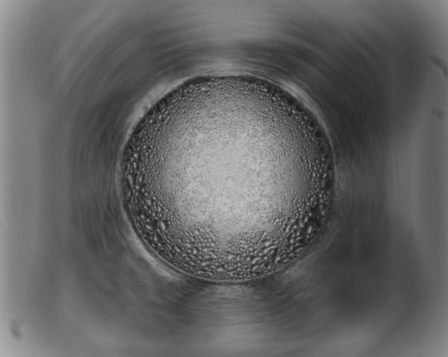 X0000103401429200809191511