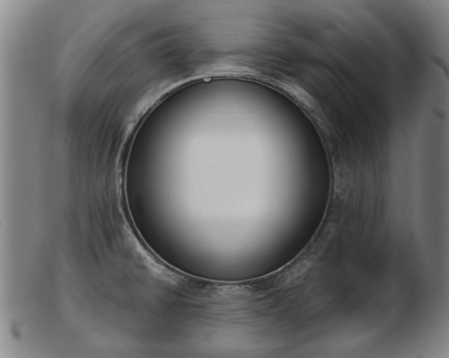 X0000103401430200809191511