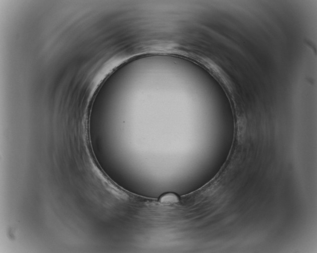 X0000103401432200809191511