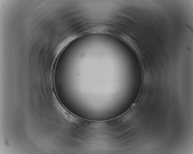 X0000103401434200809191511