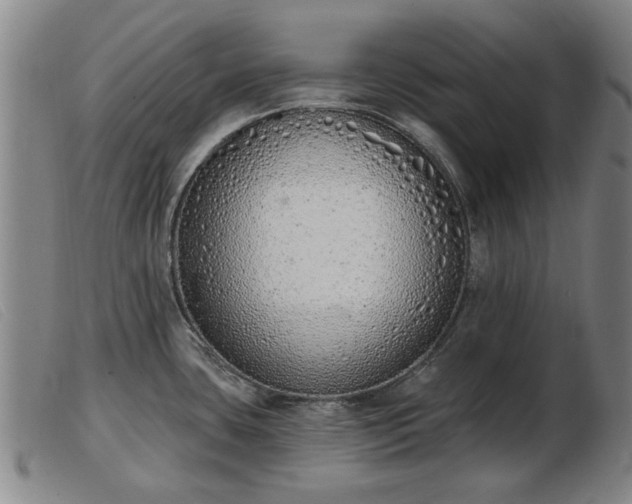 X0000103401435200809191511