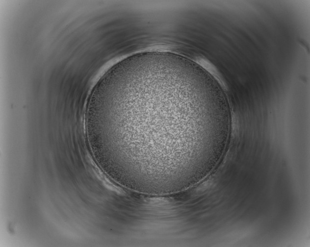 X0000103401436200809191511