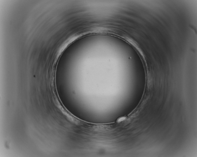 X0000103401437200809191511