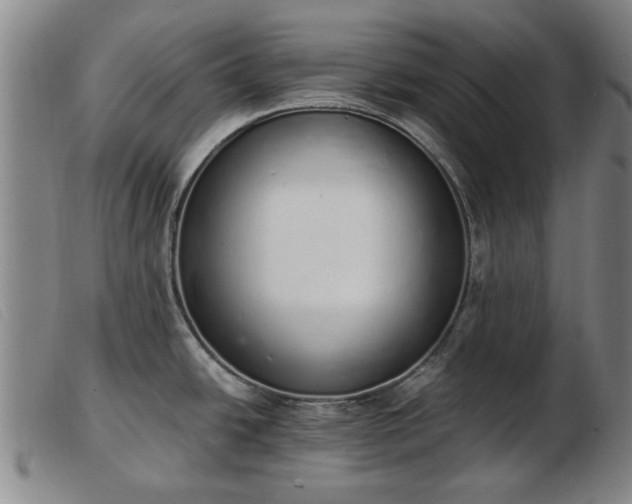 X0000103401438200809191511