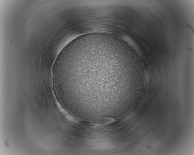 X0000103401439200809191511