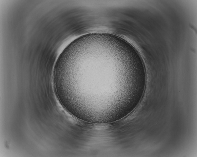 X0000103401440200809191511