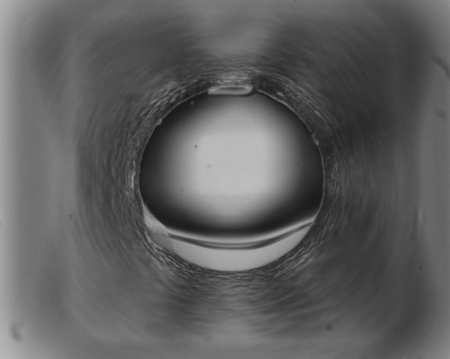 X0000103401441200809191510