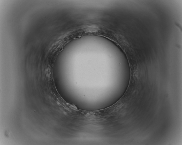 X0000103401445200809191510