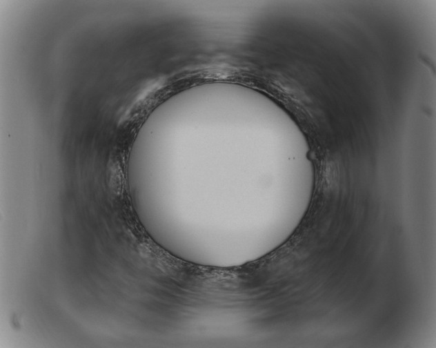 X0000103401446200809191510