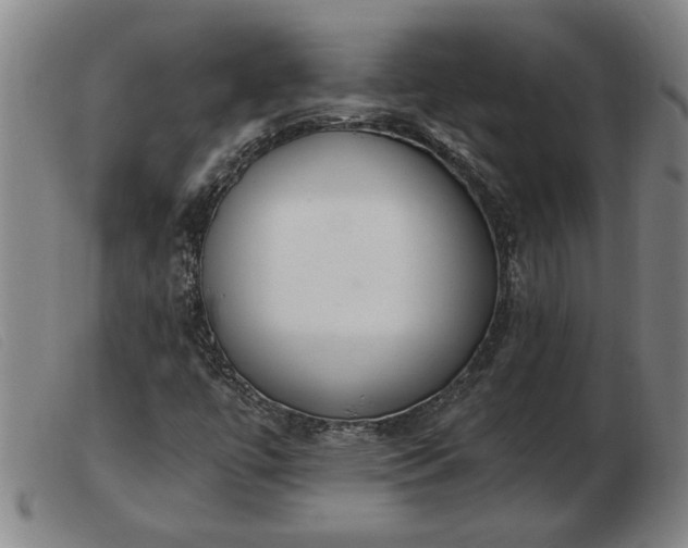 X0000103401447200809191510