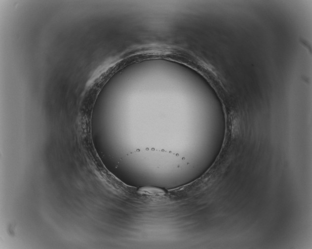 X0000103401448200809191510