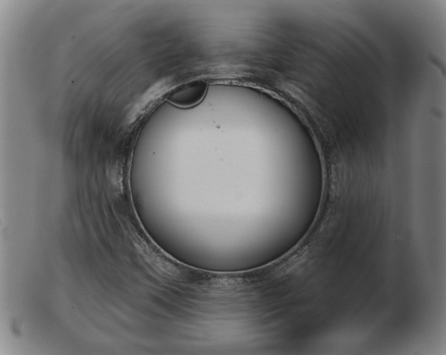 X0000103401451200809191510