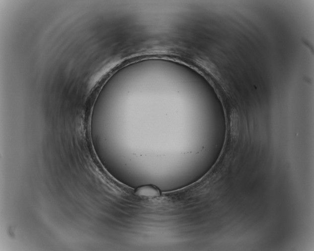 X0000103401452200809191510