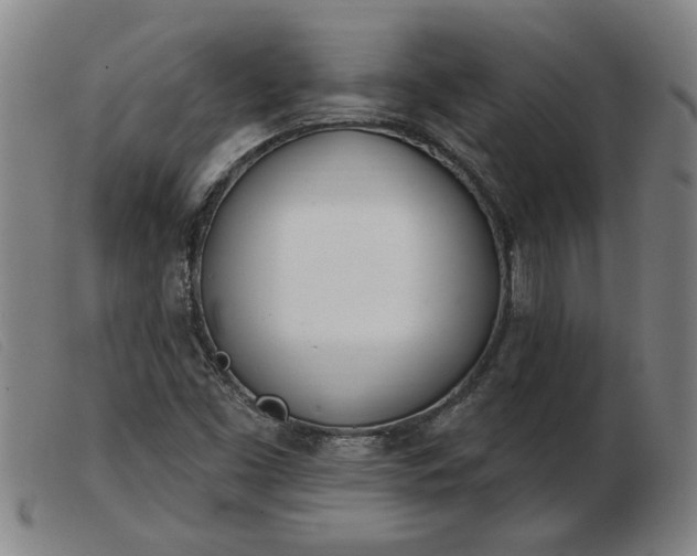 X0000103401453200809191510