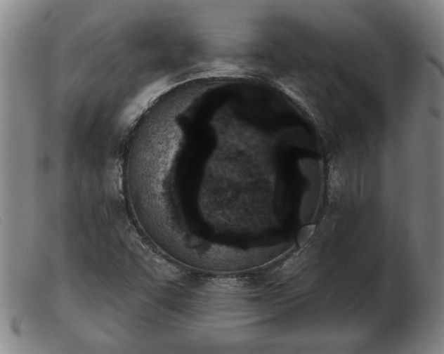 X0000103401455200809191510