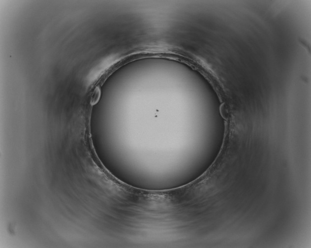 X0000103401456200809191510