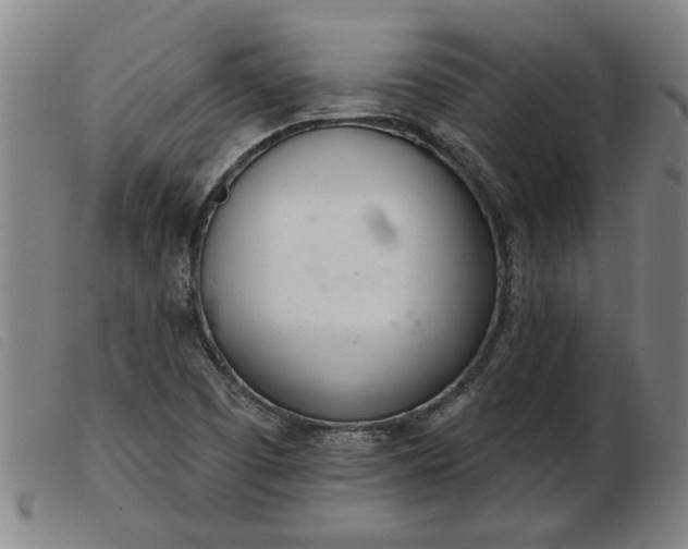 X0000103401457200809191510