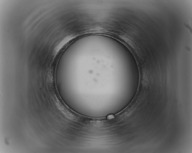 X0000103401458200809191510