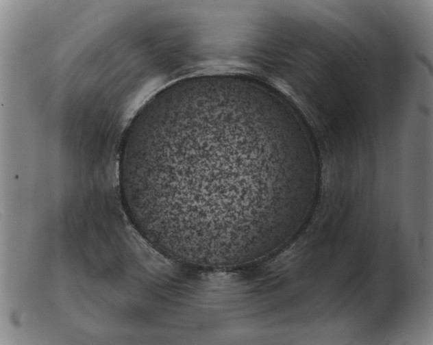 X0000103401459200809191510