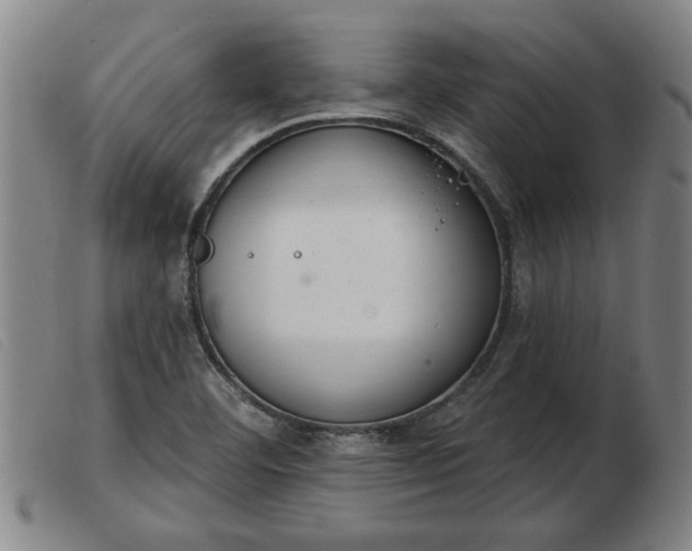 X0000103401460200809191510