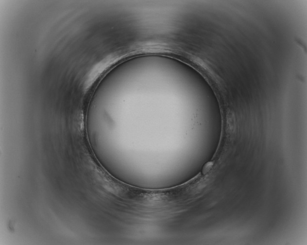 X0000103401461200809191510