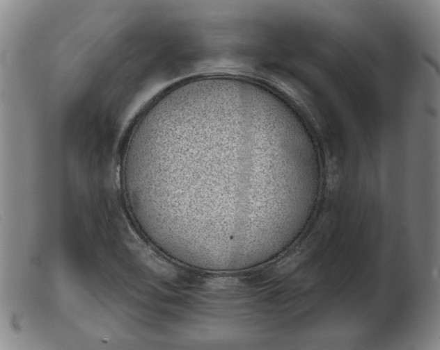 X0000103401462200809191510