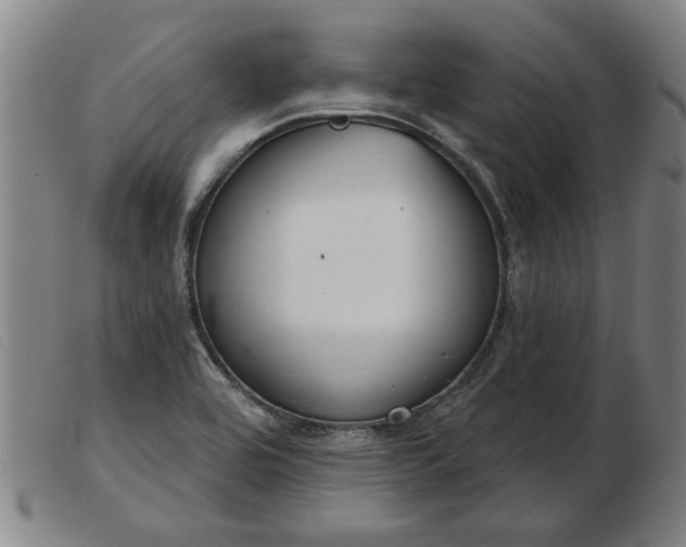 X0000103401464200809191510