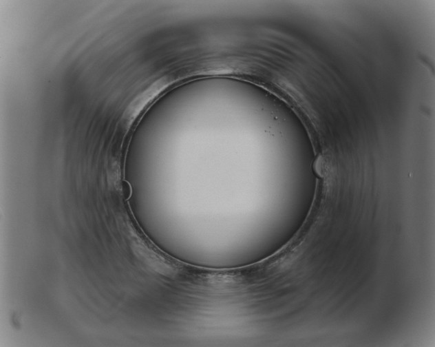 X0000103401465200809191510