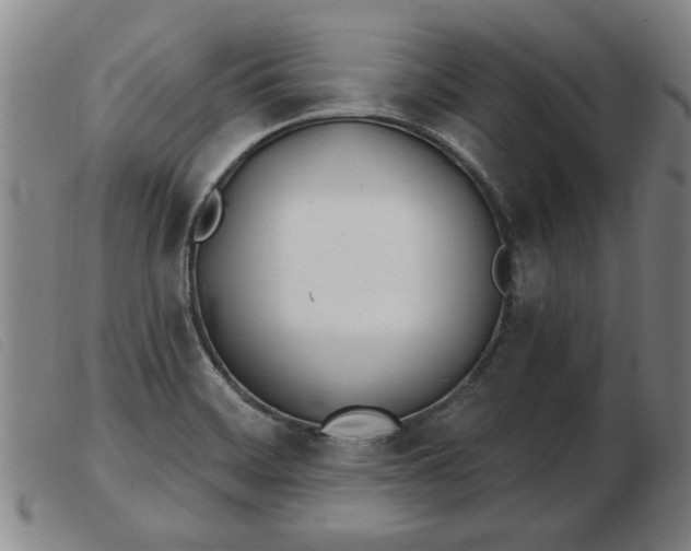 X0000103401468200809191510