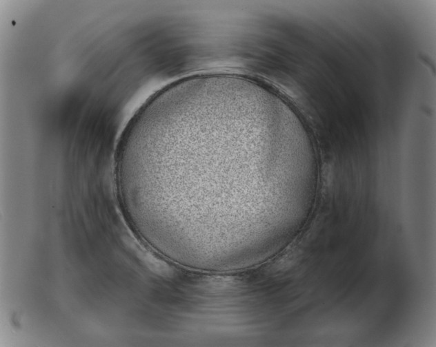 X0000103401470200809191510