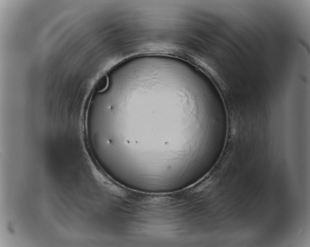 X0000103401471200809191510