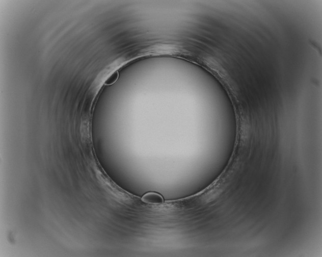 X0000103401473200809191510