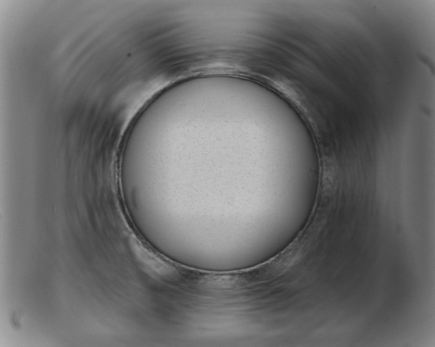 X0000103401474200809191509