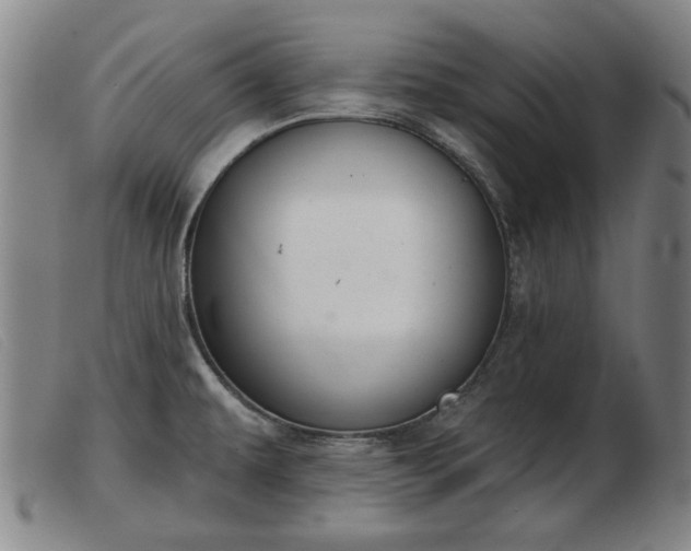 X0000103401479200809191509