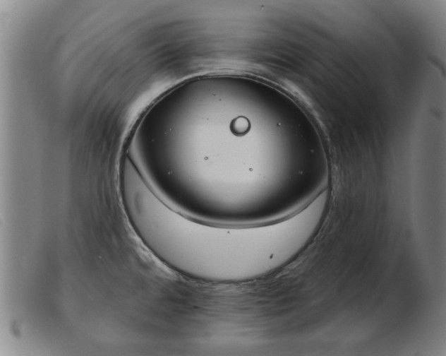 X0000103401480200809191509