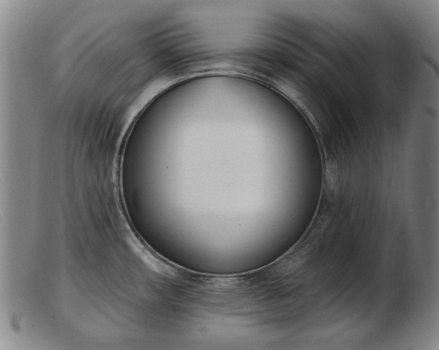 X0000103401482200809191509