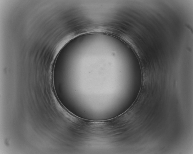 X0000103401483200809191509