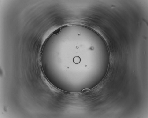 X0000103401485200809191509