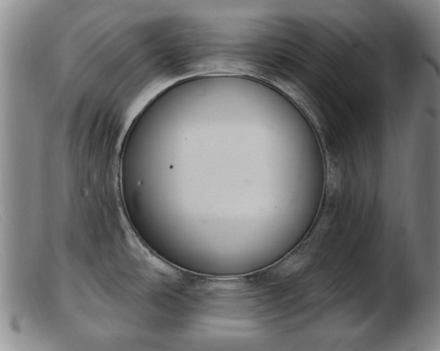 X0000103401486200809191509