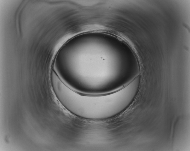 X0000103401488200809191509