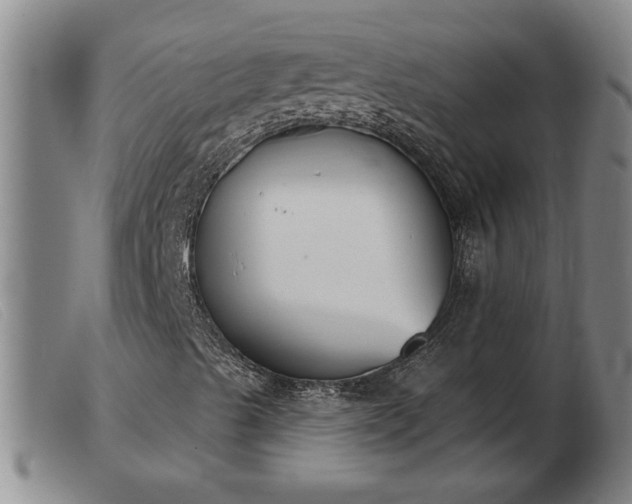 X0000103401489200809191508