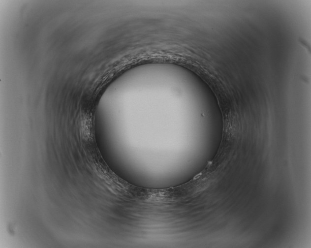 X0000103401490200809191508