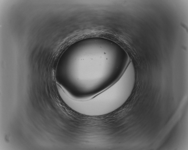 X0000103401492200809191509