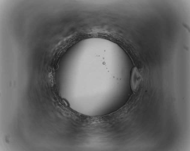 X0000103401493200809191509