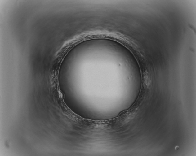 X0000103401494200809191509